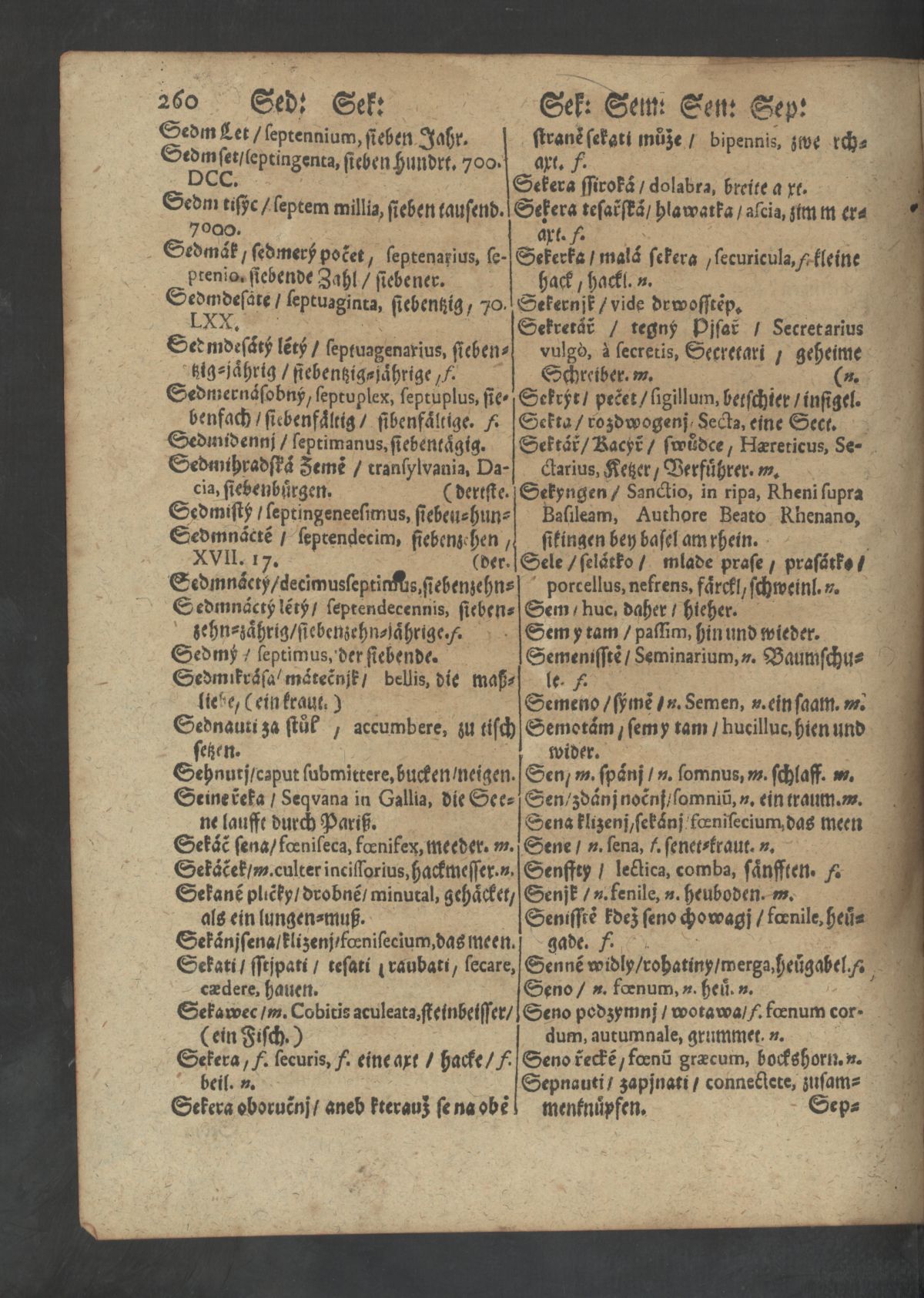 Dictionarium bohemo-latino-germanicum