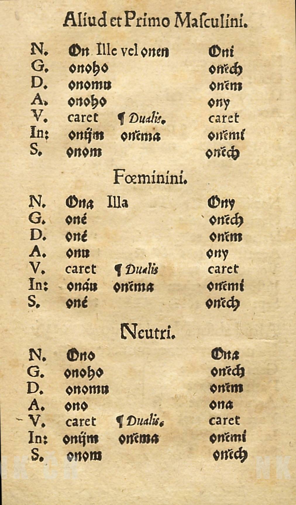 C1v