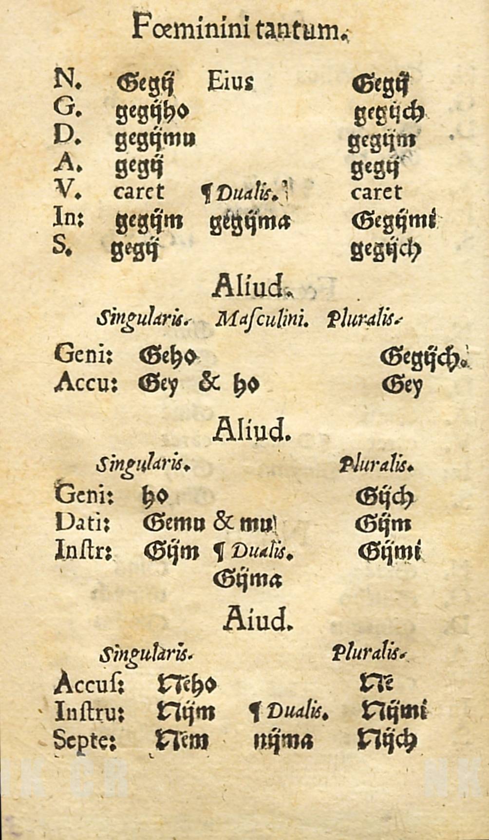 D3v