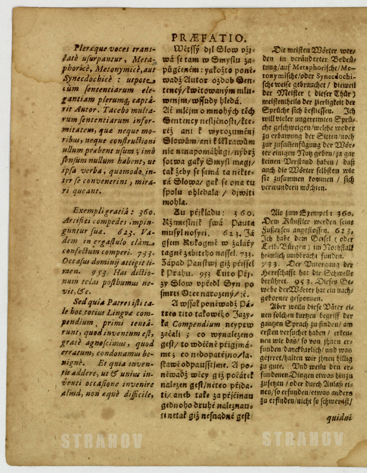 XVI
