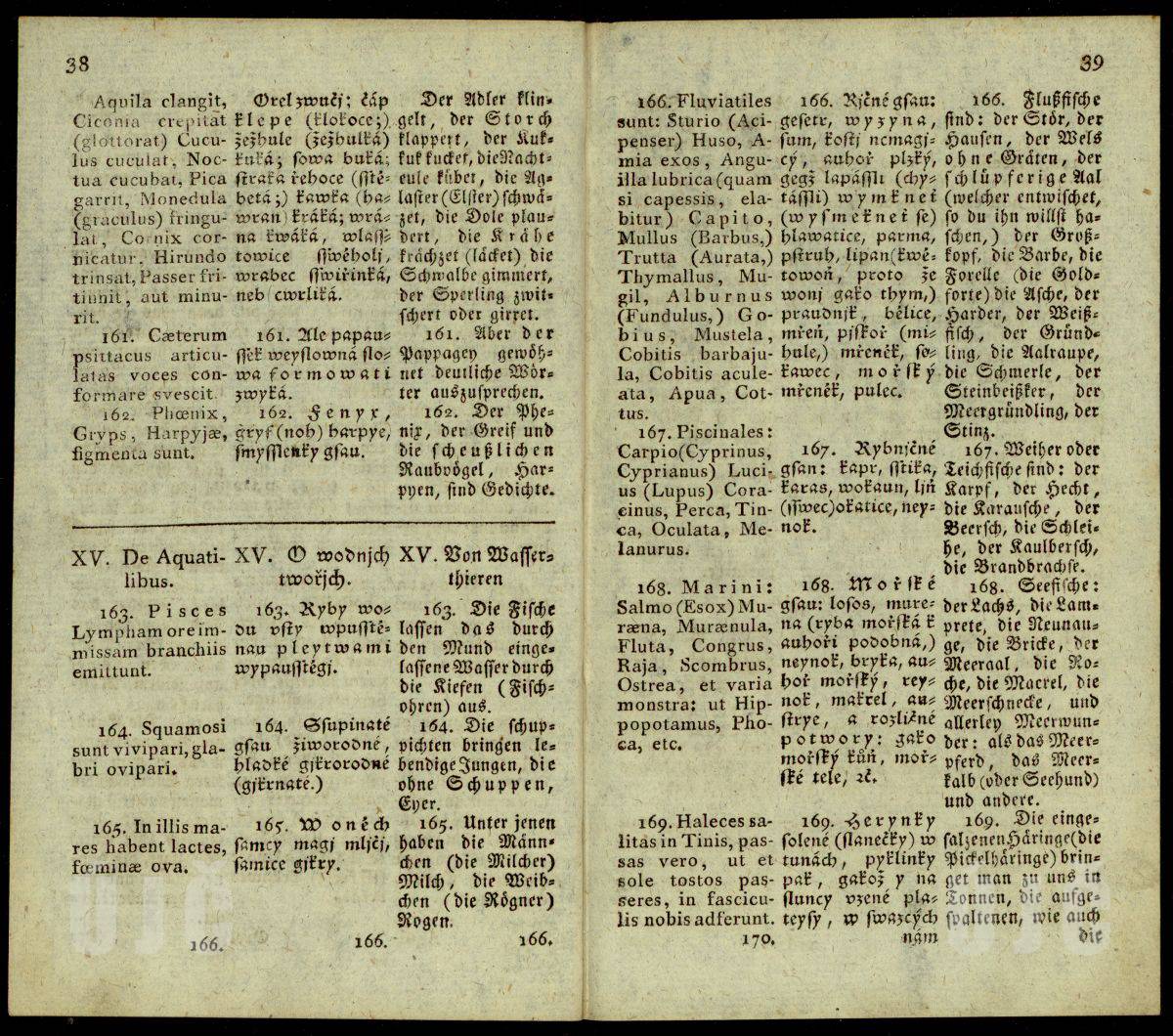 38–39