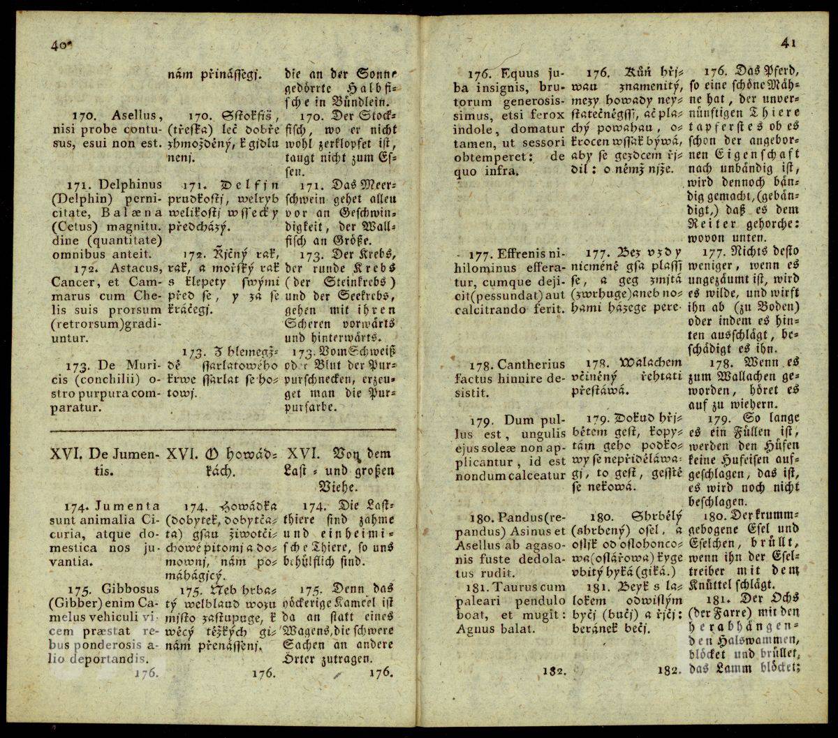 40–41