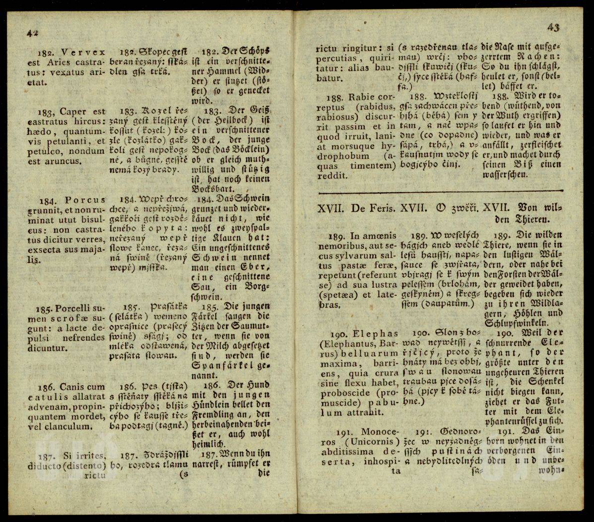 42–43