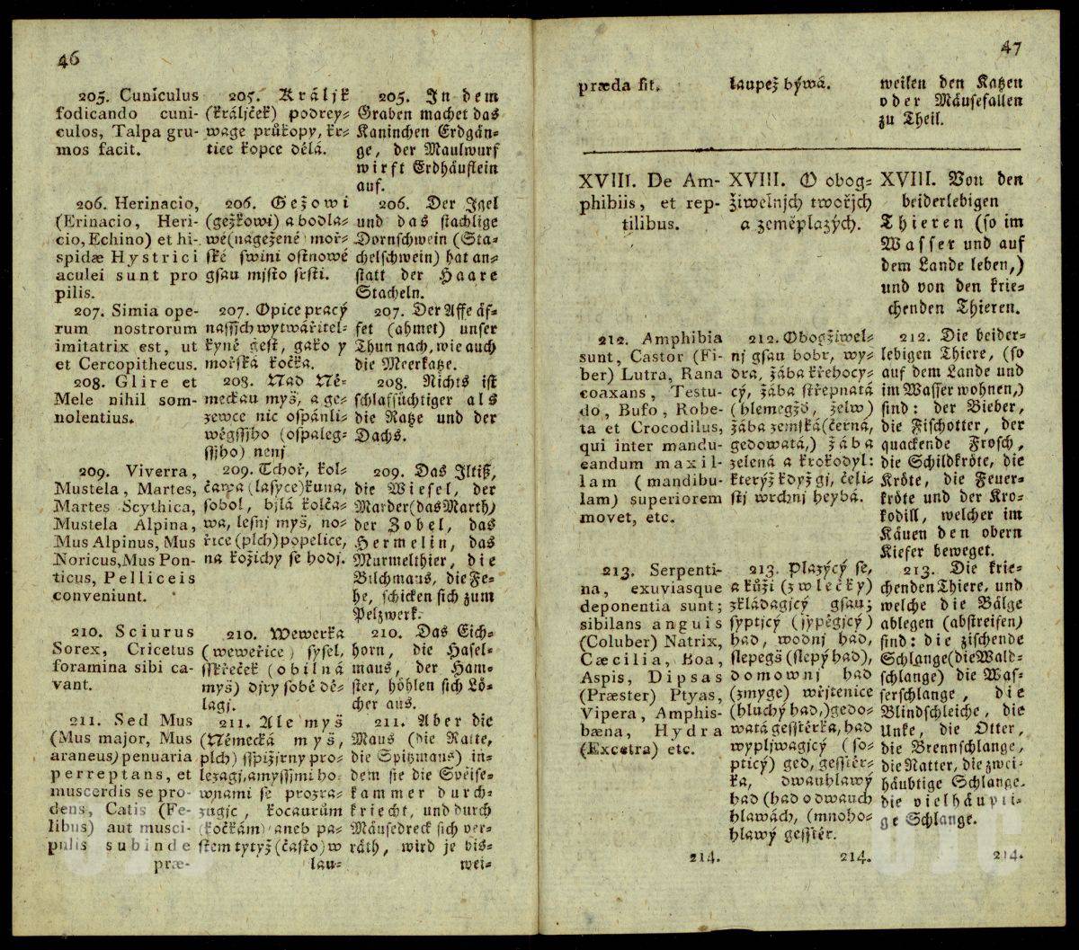 46–47